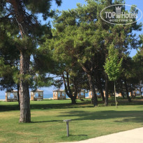 фото из отзыва ID 1818009