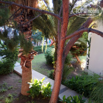 фото из отзыва ID 1818020