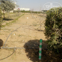 фото из отзыва ID 1818281