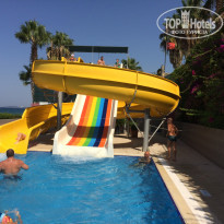 фото из отзыва ID 1818303