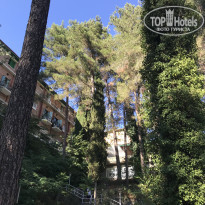 фото из отзыва ID 1818492