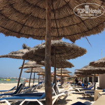 фото из отзыва ID 1818146