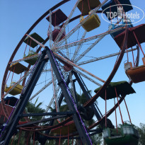 фото из отзыва ID 1818830