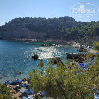 фото из отзыва ID 1813502