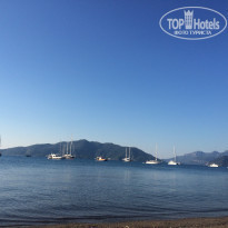 фото из отзыва ID 1818959