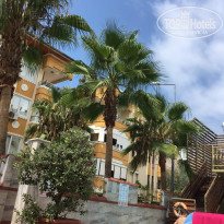 фото из отзыва ID 1819022