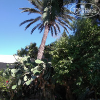 фото из отзыва ID 1819062