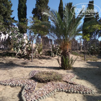 фото из отзыва ID 1819062