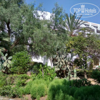 фото из отзыва ID 1819062