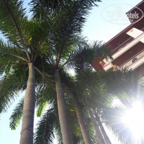 фото из отзыва ID 1819089