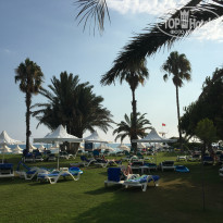 фото из отзыва ID 1819111