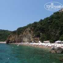 фото из отзыва ID 1819121