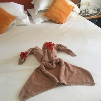 фото из отзыва ID 1819183