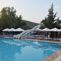 фото из отзыва ID 1818600