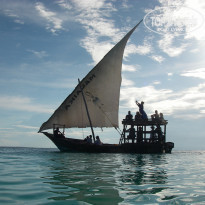 фото из отзыва ID 1819456