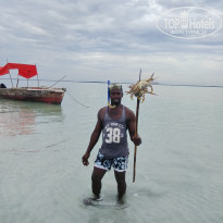 фото из отзыва ID 1819456