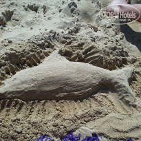 фото из отзыва ID 1819515