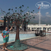 фото из отзыва ID 1819697