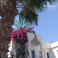 фото из отзыва ID 1819668