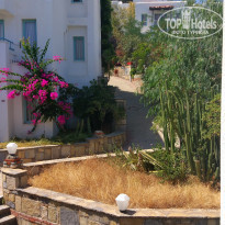 фото из отзыва ID 1819668