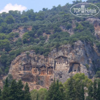 фото из отзыва ID 1819668