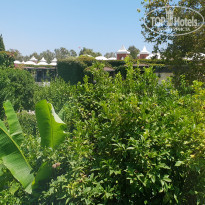 фото из отзыва ID 1819761