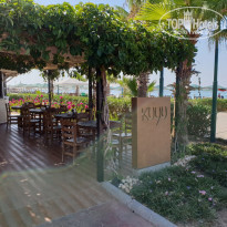 фото из отзыва ID 1819761