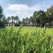 фото из отзыва ID 1819761