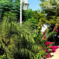 фото из отзыва ID 1819761