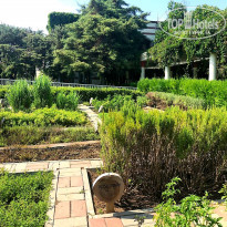 фото из отзыва ID 1819761