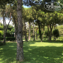 фото из отзыва ID 1819761