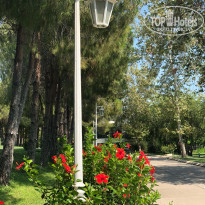 фото из отзыва ID 1819761