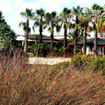 фото из отзыва ID 1819761