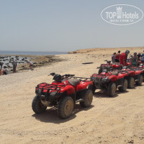 фото из отзыва ID 1819854