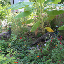 фото из отзыва ID 1819860