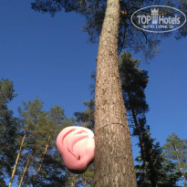 фото из отзыва ID 1819910