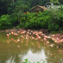 фото из отзыва ID 1819920