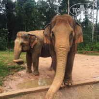 фото из отзыва ID 1819920