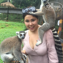 фото из отзыва ID 1819920