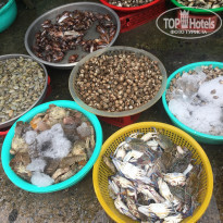 фото из отзыва ID 1819920