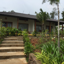 фото из отзыва ID 1819920