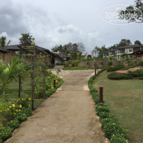 фото из отзыва ID 1819920