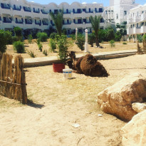 фото из отзыва ID 1819549