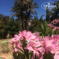 фото из отзыва ID 1819549