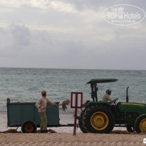 фото из отзыва ID 1818733