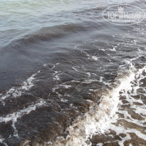 фото из отзыва ID 1818298