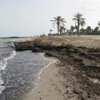 фото из отзыва ID 1818298