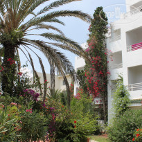 фото из отзыва ID 1814583