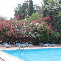 фото из отзыва ID 1814583