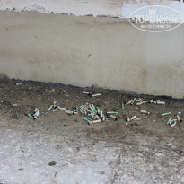 фото из отзыва ID 1814583